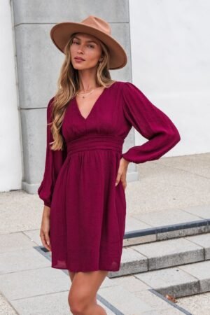Vanessa Burgundy Ruched Mini Dress